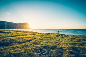 westfjords budir hornstrandir