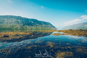westfjords hornstrandir hike veidileysufjördur