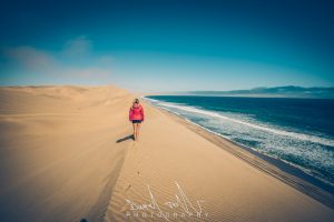 namibia sandwich harbor