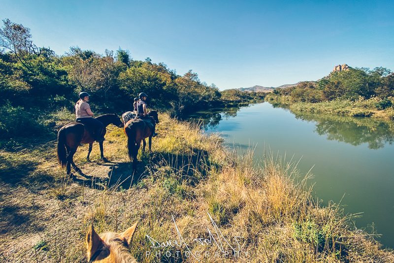 South Africa – The Horse Safari Company